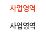 사업영역